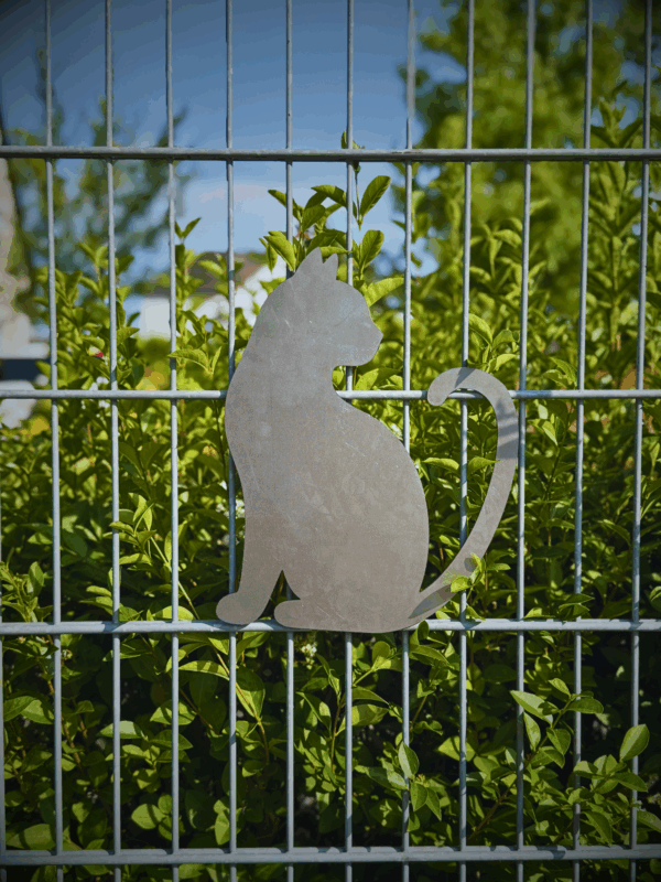 Katze