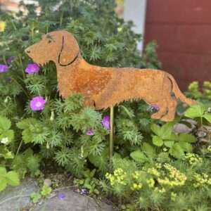 Rauhaardackel – Gartenstecker, Zaunmotiv oder Wandschmuck – Einzigartige Stahldeko (Rostoptik/Edelstahl)