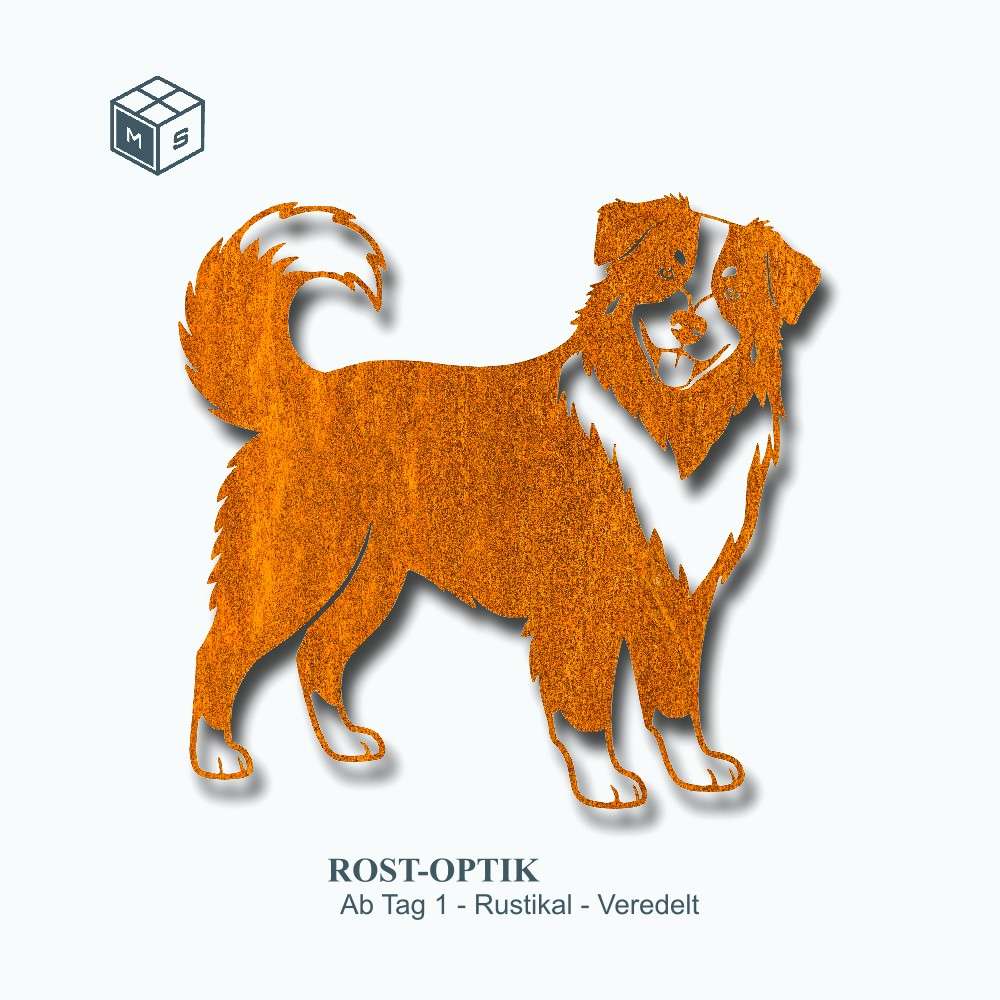 Australian Shepard – Gartenstecker, Zaunmotiv oder Wandschmuck – Einzigartige Stahldeko (Rostoptik/Edelstahl) 2 Australian Shepard – Gartenstecker, Zaunmotiv oder Wandschmuck – Einzigartige Stahldeko (Rostoptik/Edelstahl) – Bild 2