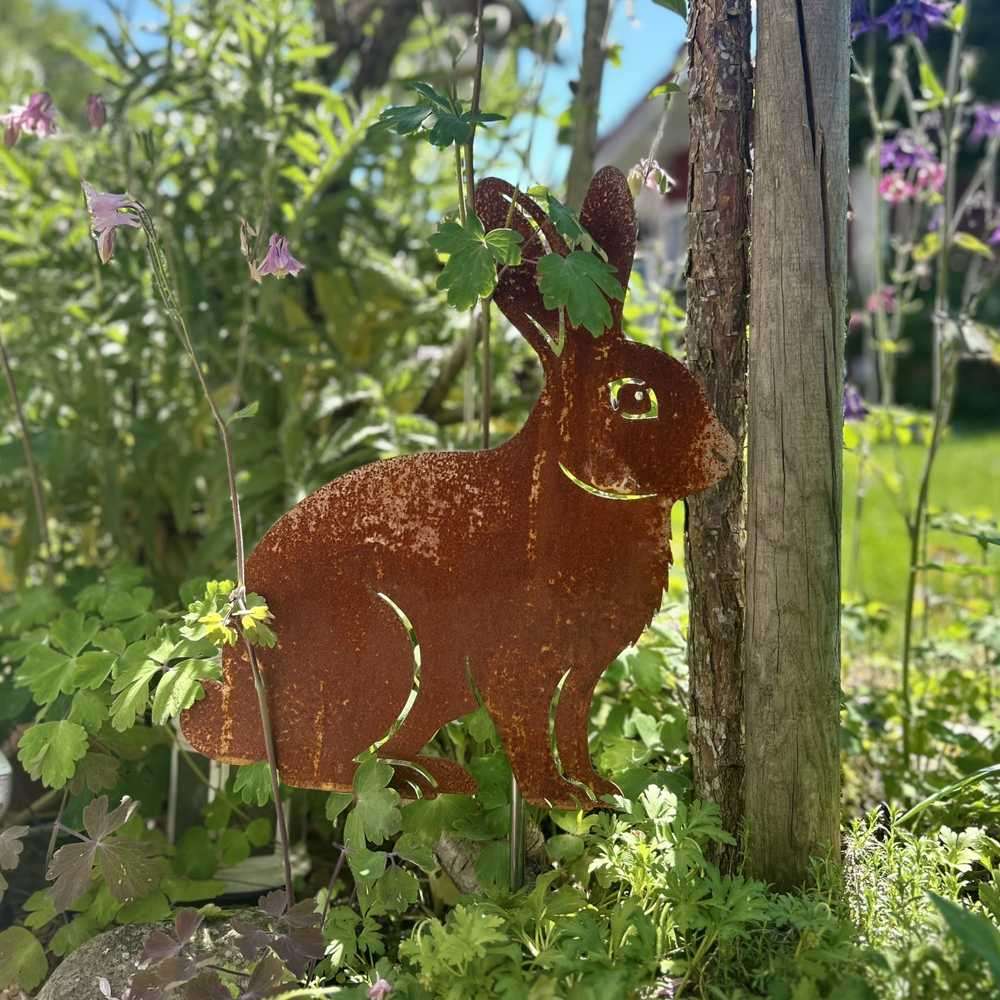 Hase